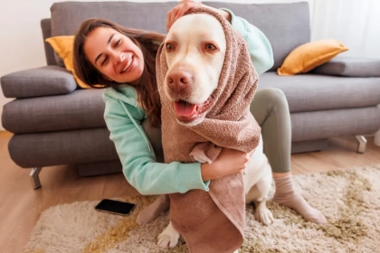 Pourquoi ma chienne fait des mouvements de bassin sur moi ?