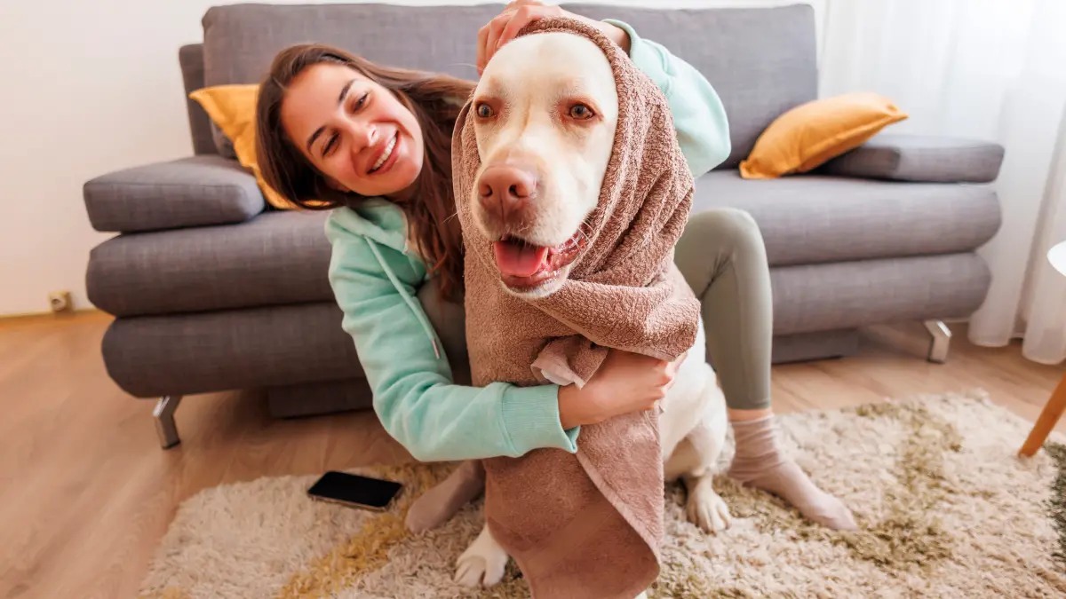 Pourquoi ma chienne fait des mouvements de bassin sur moi ?