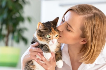 Pourquoi votre chat n&rsquo;aime pas toujours vos bisous (et comment mieux lui montrer votre amour) ?