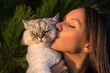 “Bonjour” ne veut pas dire la même chose pour vous et pour votre chat : les clés pour mieux communiquer