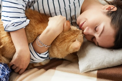 Ils aiment les chats plus que tout : que révèle vraiment l’ailurophilie sur notre rapport aux animaux ?