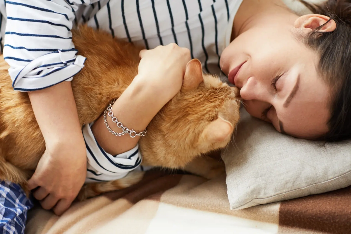 Ils aiment les chats plus que tout : que révèle vraiment l’ailurophilie sur notre rapport aux animaux ?