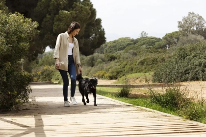 Multitâche avec son chien : comment s’équiper pour les petites sorties du quotidien ?