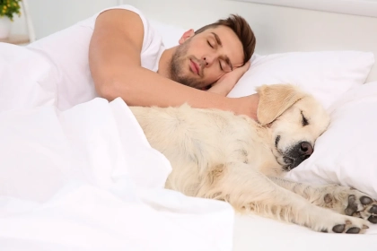 Pourquoi partager votre lit avec votre chien peut transformer votre sommeil et améliorer votre bien-être ?