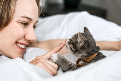 Comment savoir si votre chat vous fait enfin confiance après l’adoption ? Voici ce que révèle la méthode des 3-3-3 !