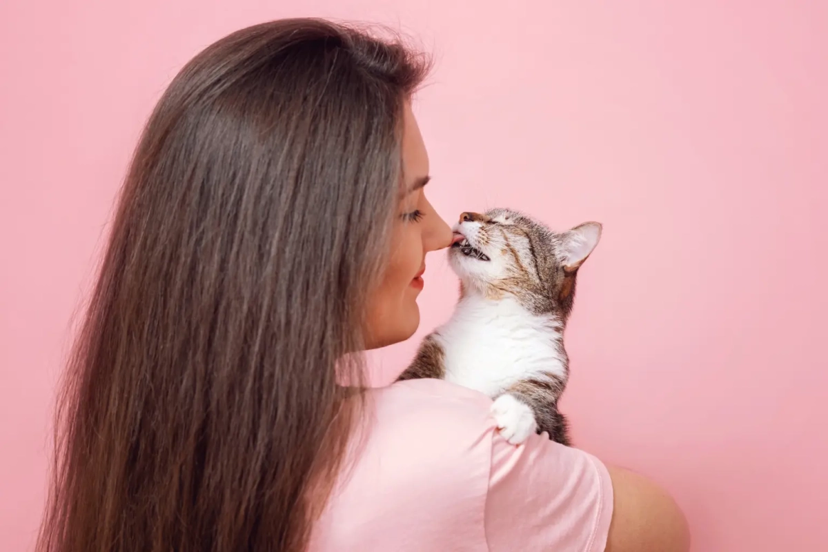 Comment dire bonjour à votre chat pour renforcer vos liens selon les spécialistes du comportement félin ?