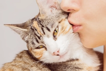 Dire bonjour à son chat n’a rien de ridicule et les experts expliquent pourquoi ce rituel quotidien améliore l’humeur et la sécurité émotionnelle de l’animal