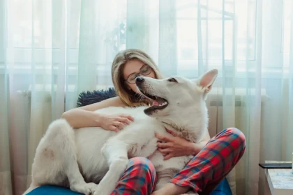 9 chiens qui restent constamment proches de leur famille et détestent la solitude