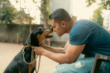 12 races connues pour protéger leur maître avant même de percevoir un danger réel