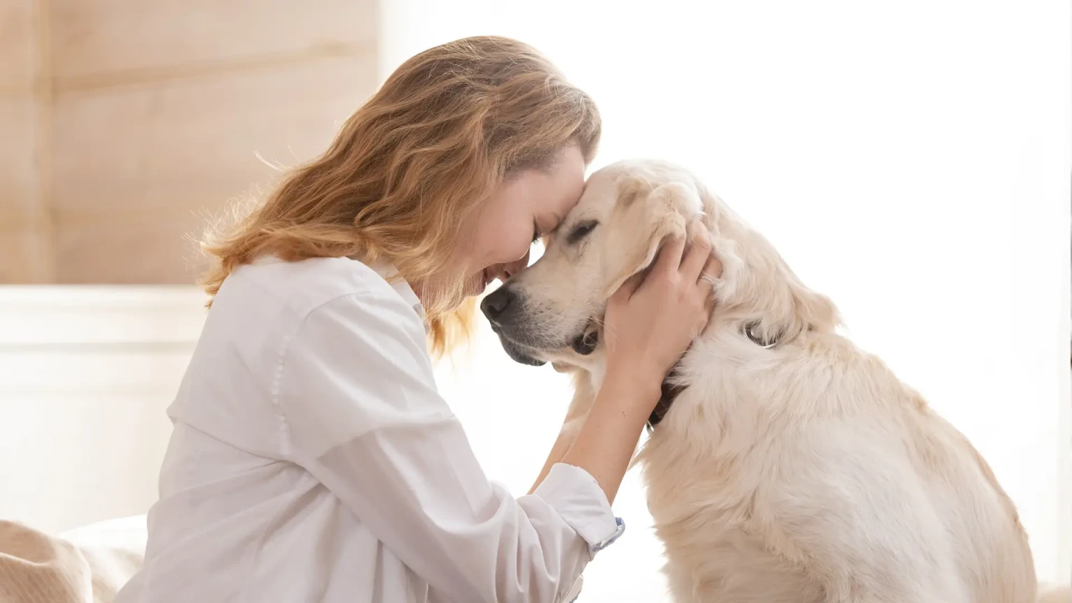 12 races de chiens qui reconnaissent immédiatement les personnes bienveillantes