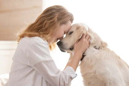 12 races de chiens qui reconnaissent immédiatement les personnes bienveillantes