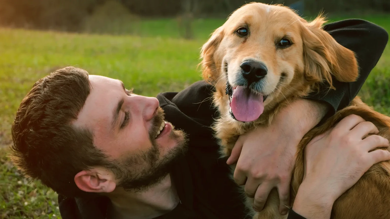 8 races de chiens qui ne supportent pas d’être séparées de leur maître