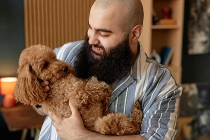 11 races de chiens qui s’attachent intensément à leur maître