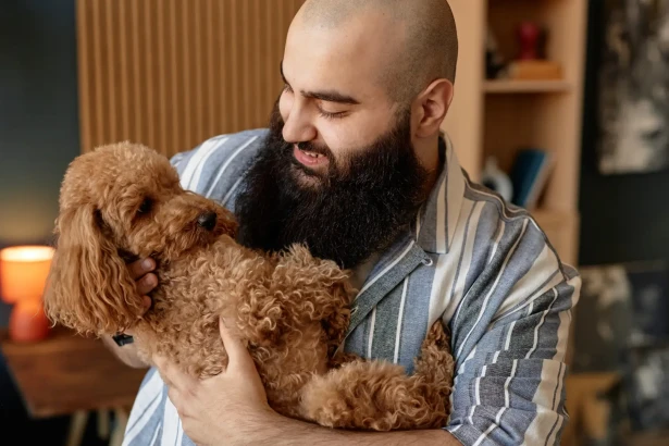 11 races de chiens qui s’attachent intensément à leur maître