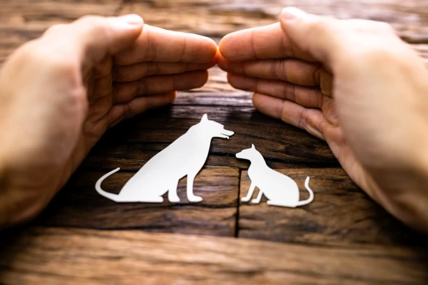 Que couvre réellement une assurance pour chien ?